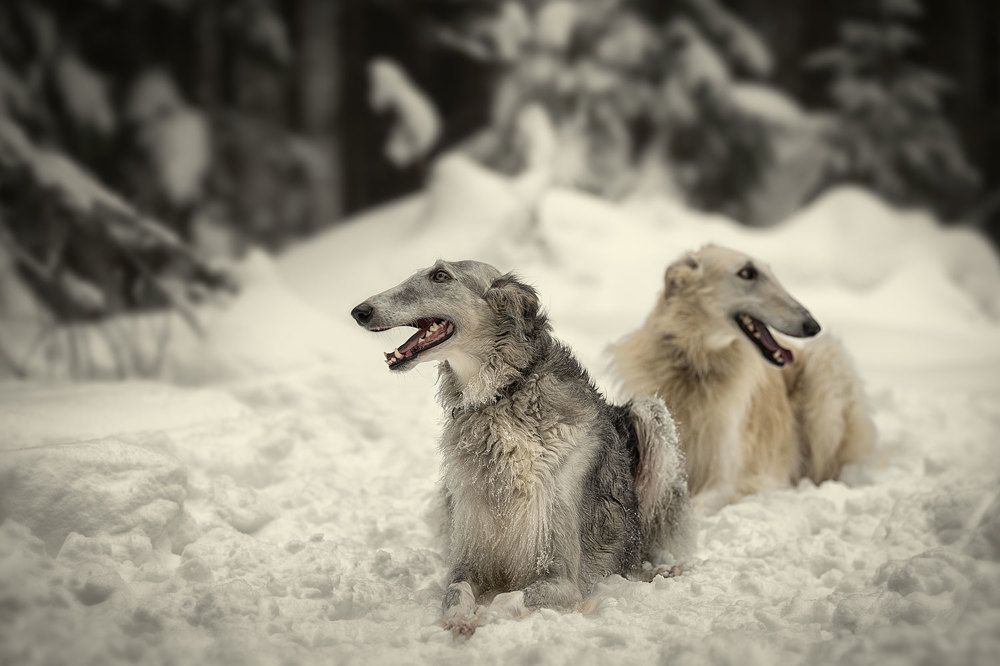 Фотография автора Юрий Бутаков