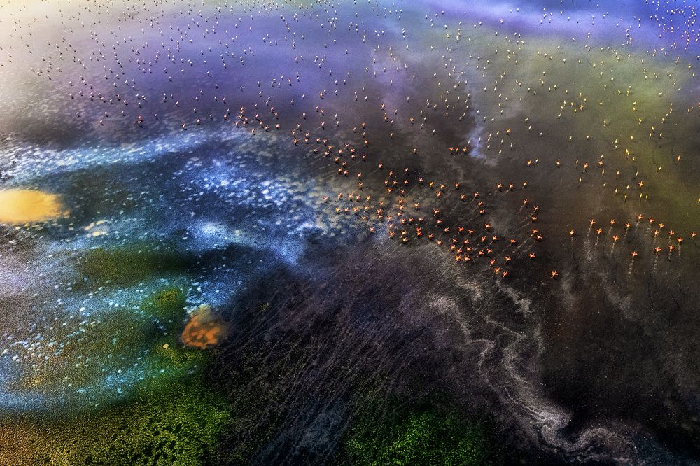 The moment of flight