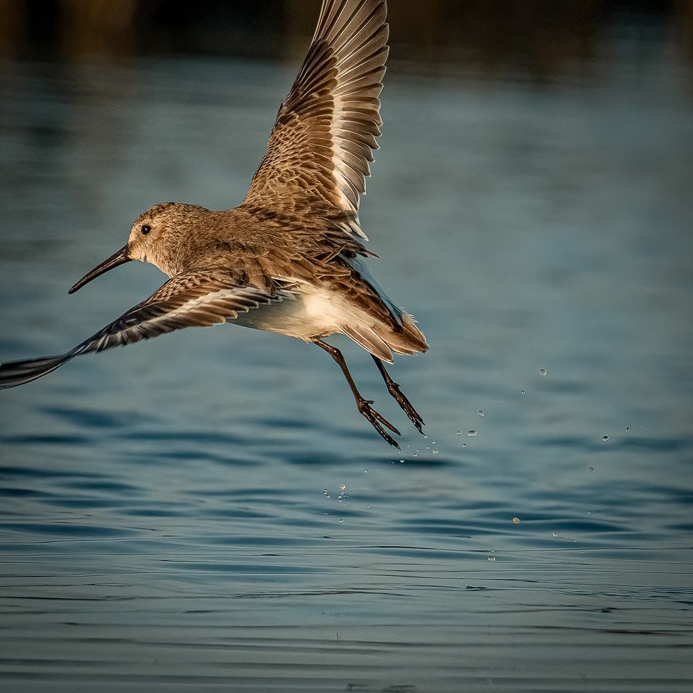 Photograph by Andrea Barlotti