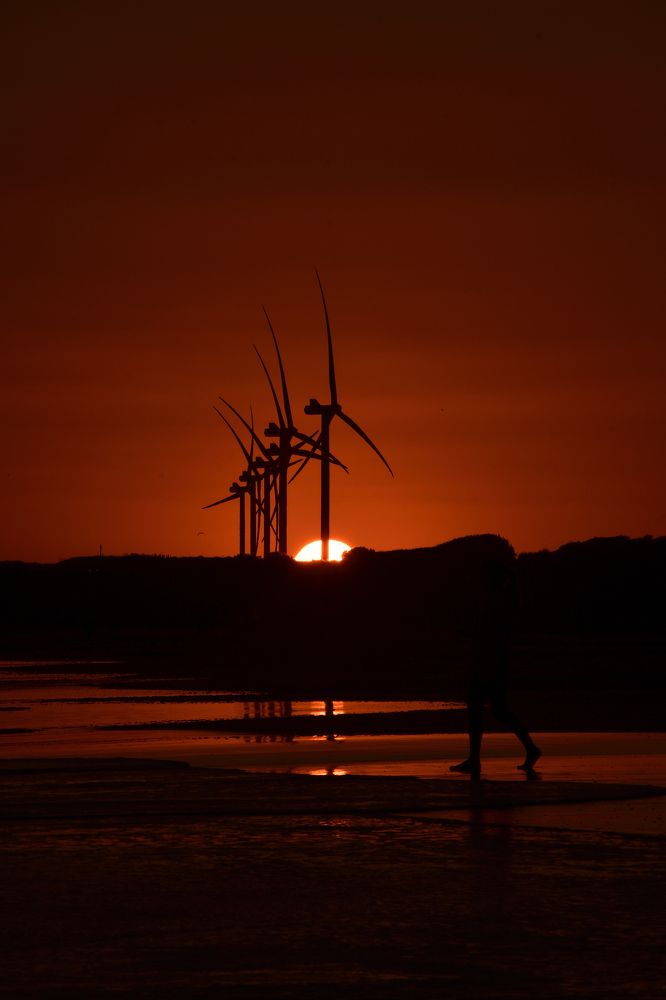 Photograph by Javier Peñas