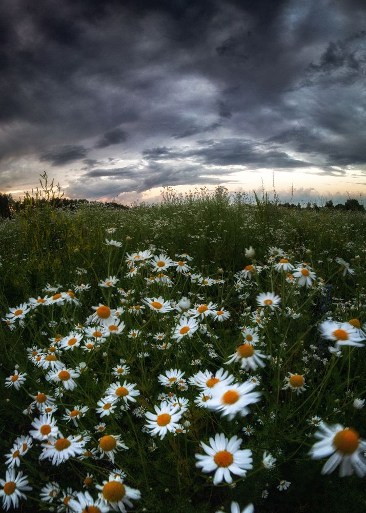 Photograph by Иван Мосьянов