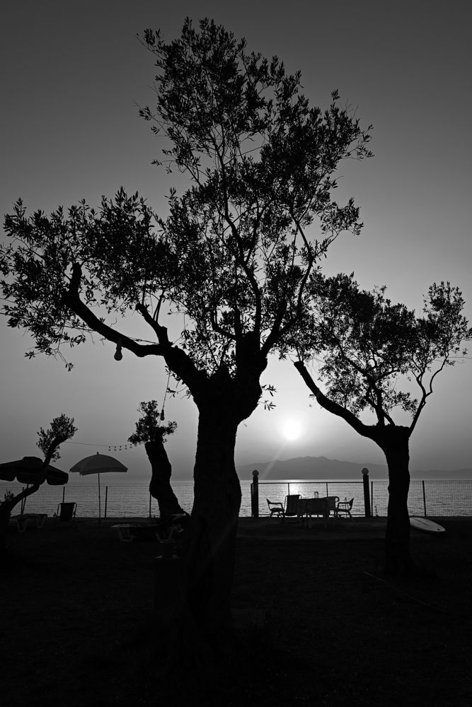 Photograph by Lyuben Zehtinski