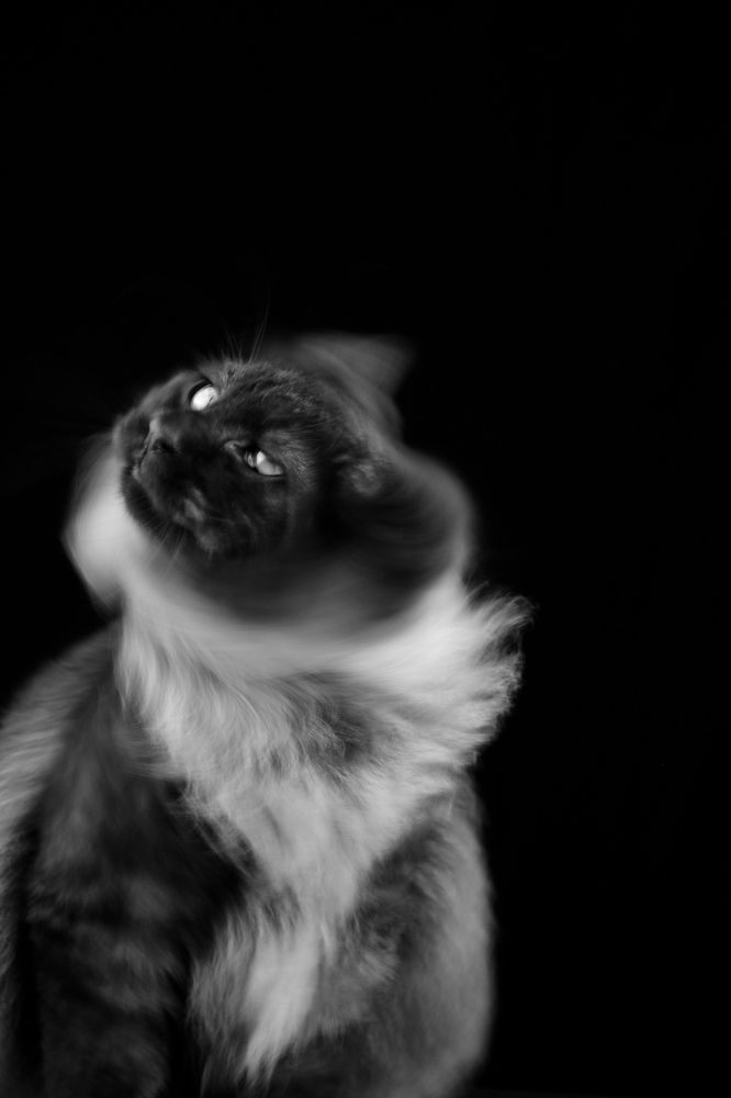 Photograph by Ксения Мисько