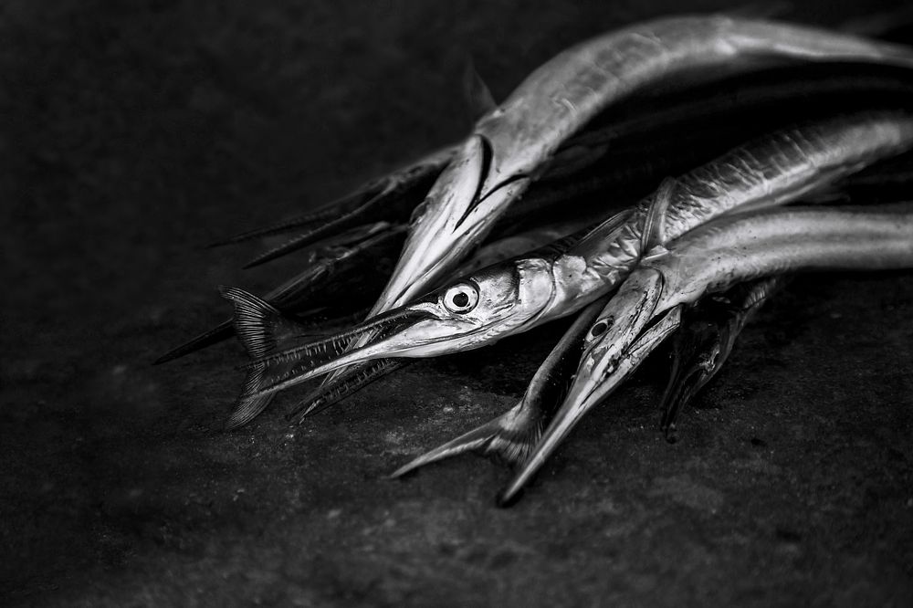 Photograph by Диана Бачу