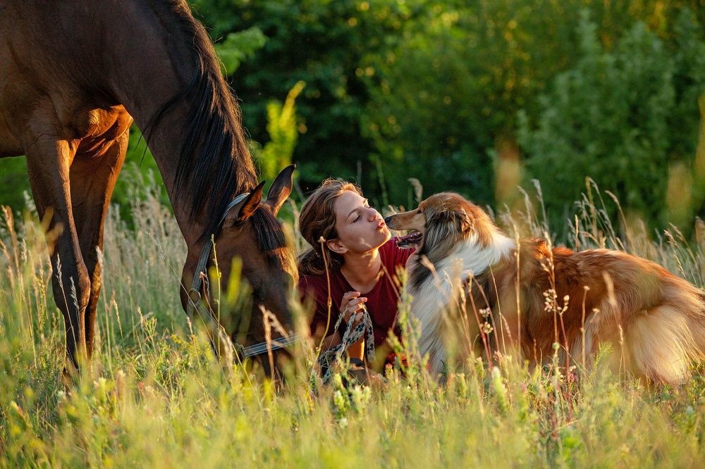 Фотография автора Елена Гордиевская
