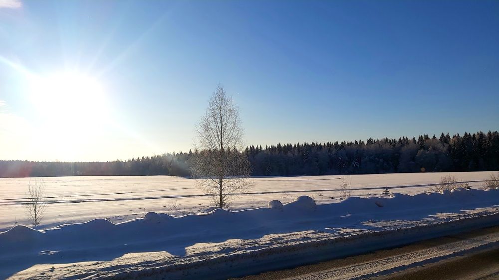 Фотография автора lebedev_project