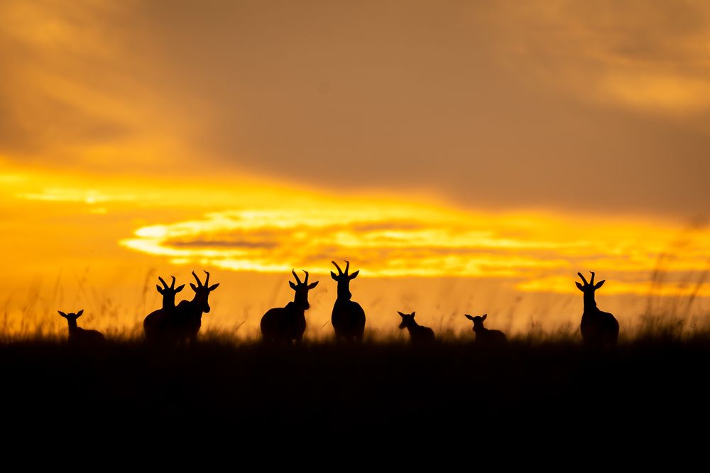 Photograph by Akshita Jain