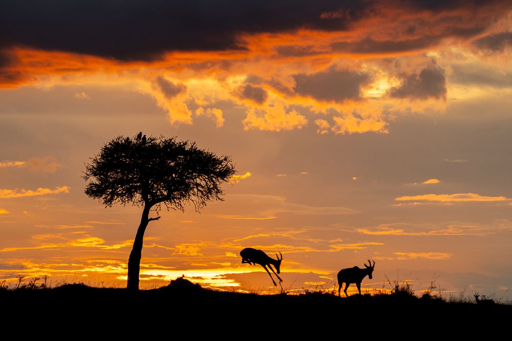 Photograph by Akshita Jain