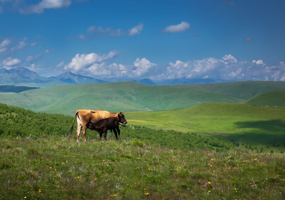 Photograph by Наталья Сергеева