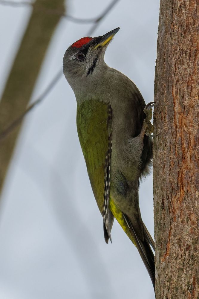 Photograph by Вячеслав Орос