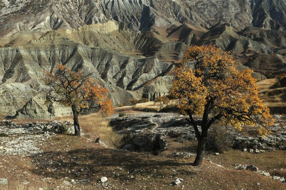 Photograph by Борис Астафьев