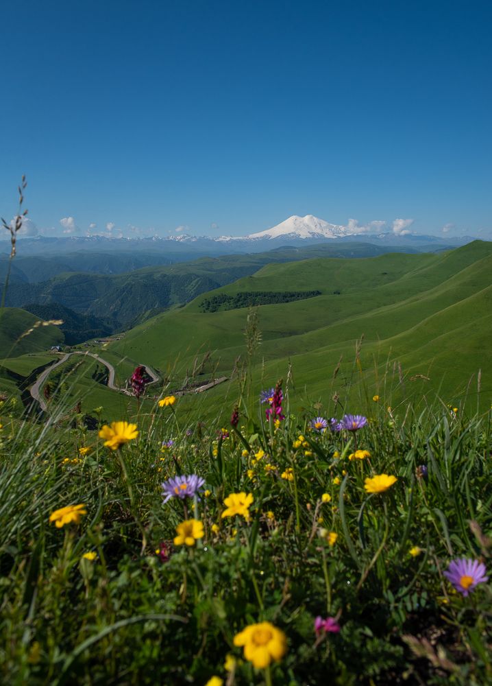 Photograph by Наталья Сергеева