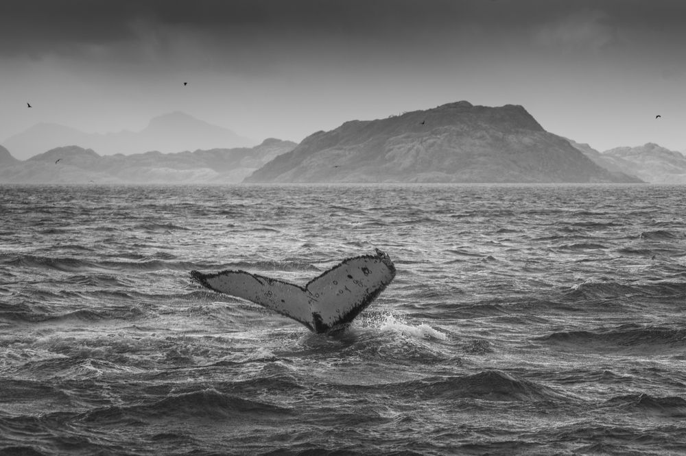 Photograph by Eduardo Hernández