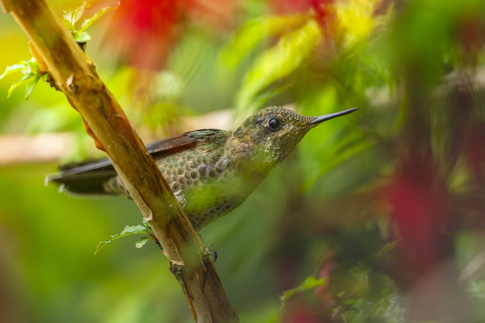 Photograph by Eduardo Hernández