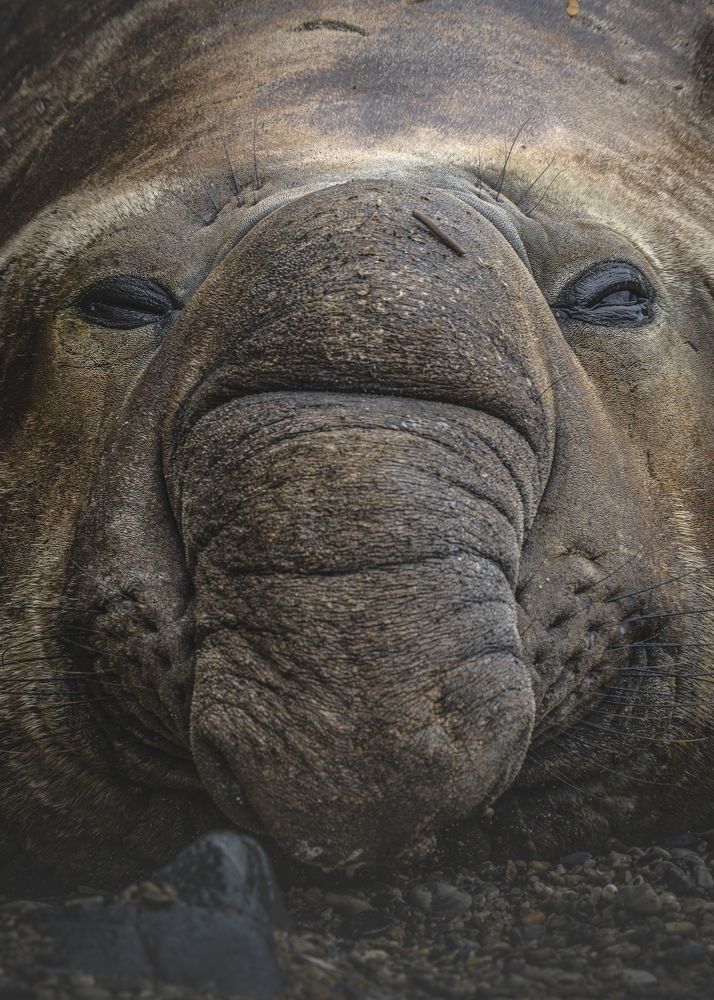 Photograph by Eduardo Hernández