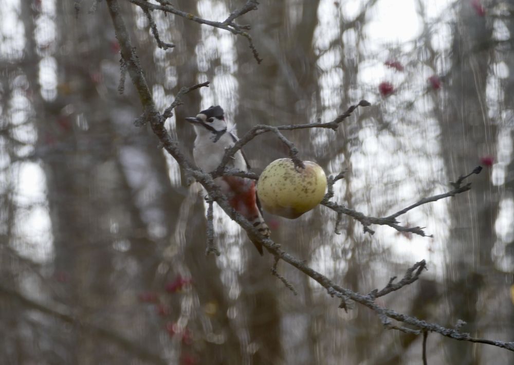 Photograph by Anastasia Perez