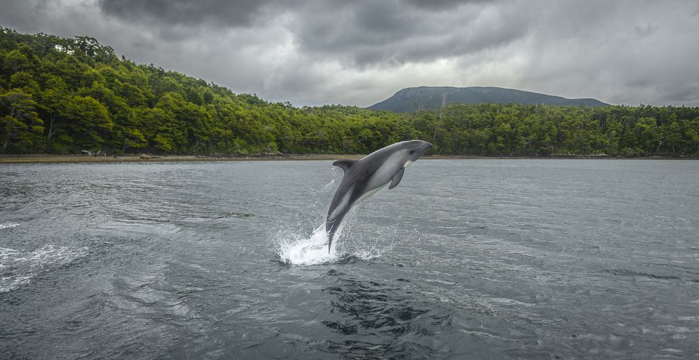 Photograph by Eduardo Hernández