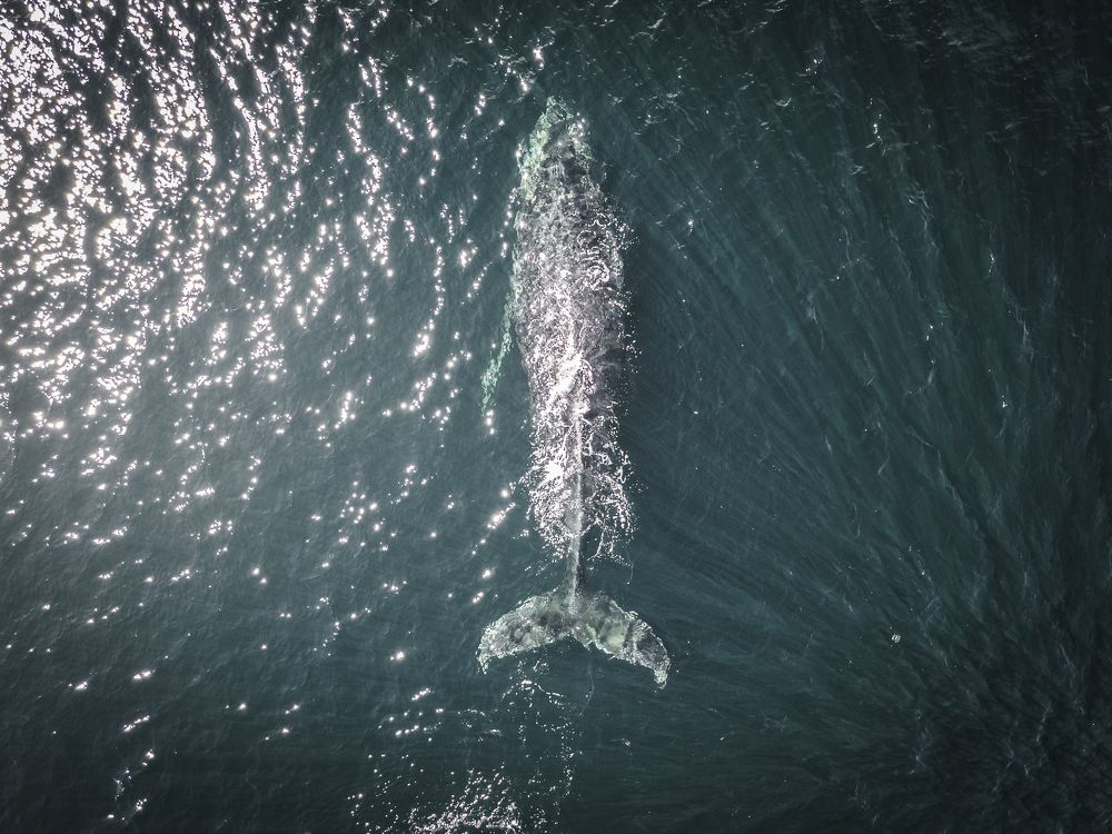 Photograph by Eduardo Hernández