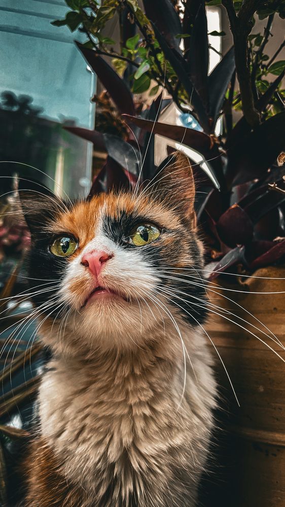 Photograph by عمر خالد الصياد