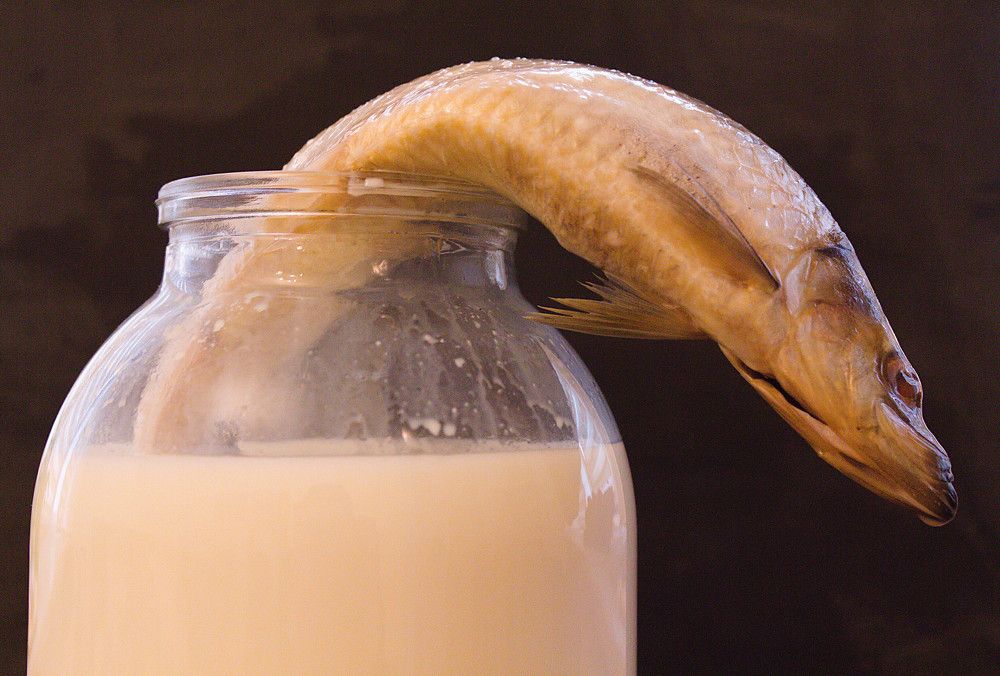 Photograph by дмитрий