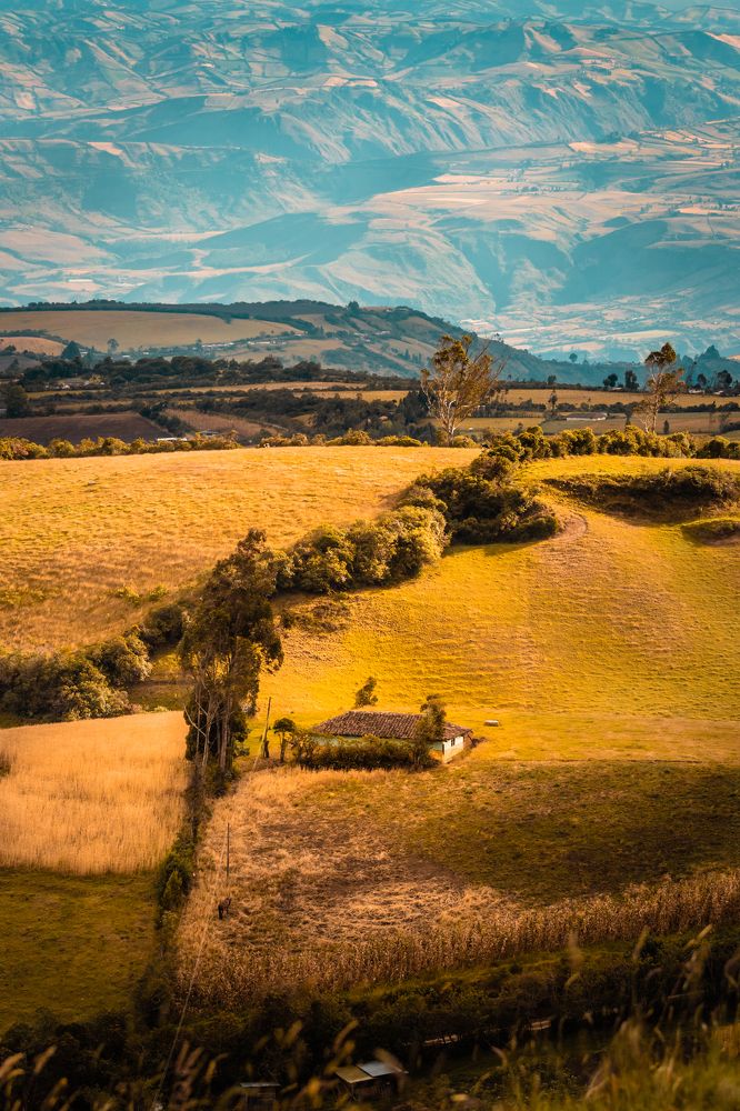 Фотография автора Carlos Jimenez