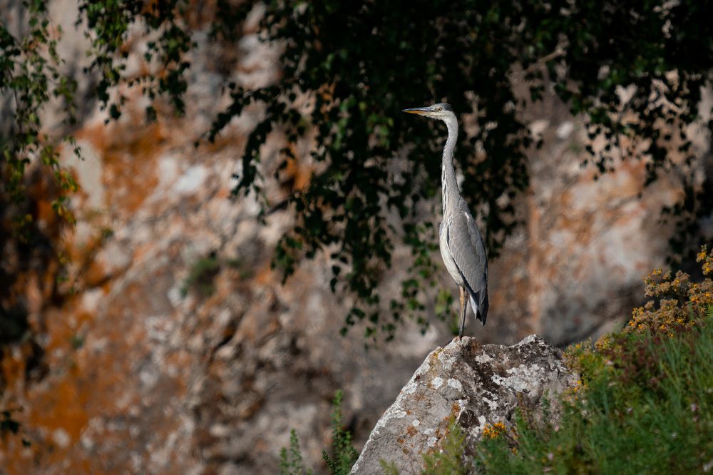 Photograph by Сергей Лебедев