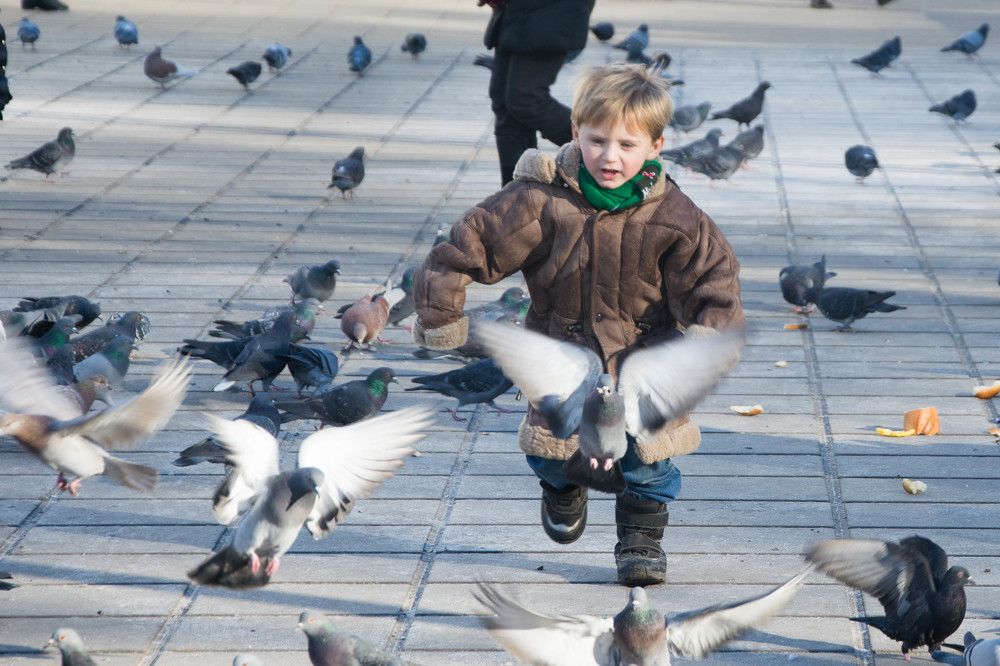 Photograph by Polina Safonova