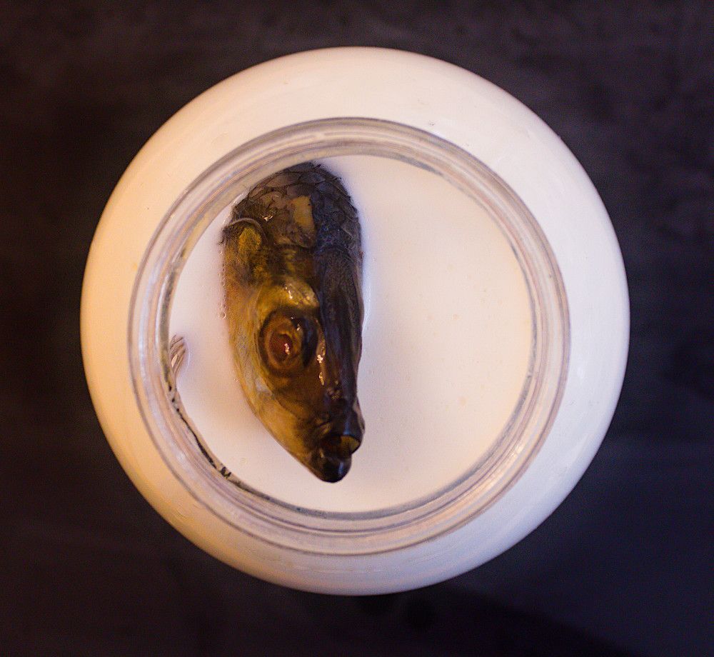 Photograph by дмитрий