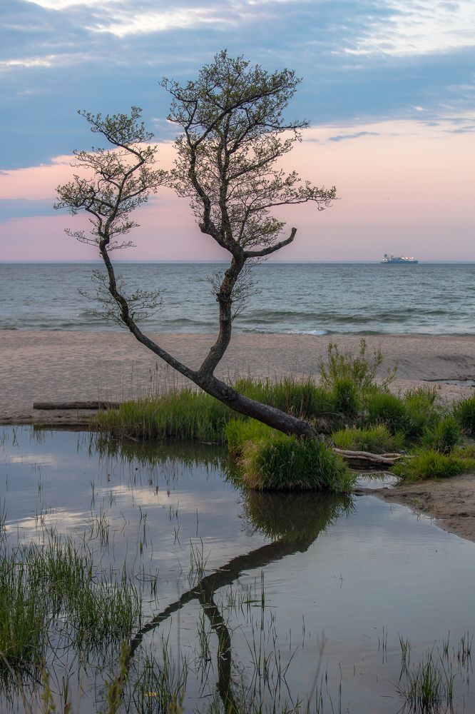 Photograph by Наталья Брюхненко