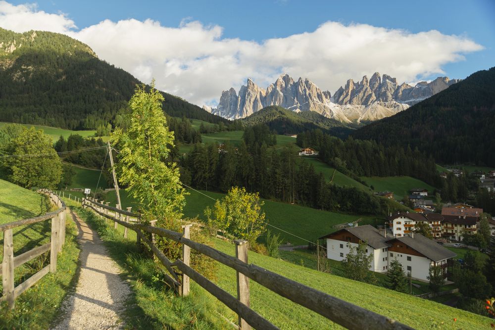 Photograph by Natalie Lamm