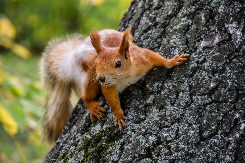 Photograph by Марина Ильева