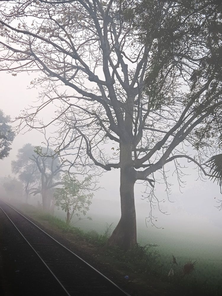 Фотография автора Tawkir Ahmad Shimul Md.