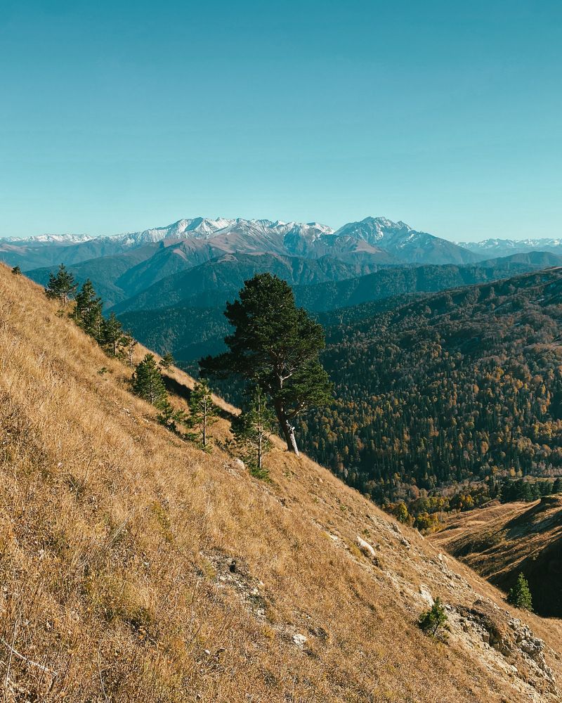 Photograph by Козинец Александр