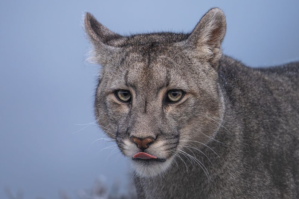 Photograph by Eduardo Hernández