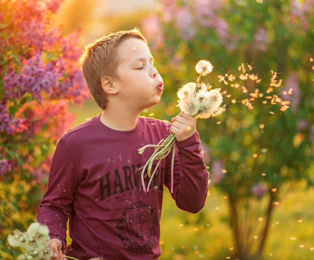 Фотография автора Анастасия Лисовская