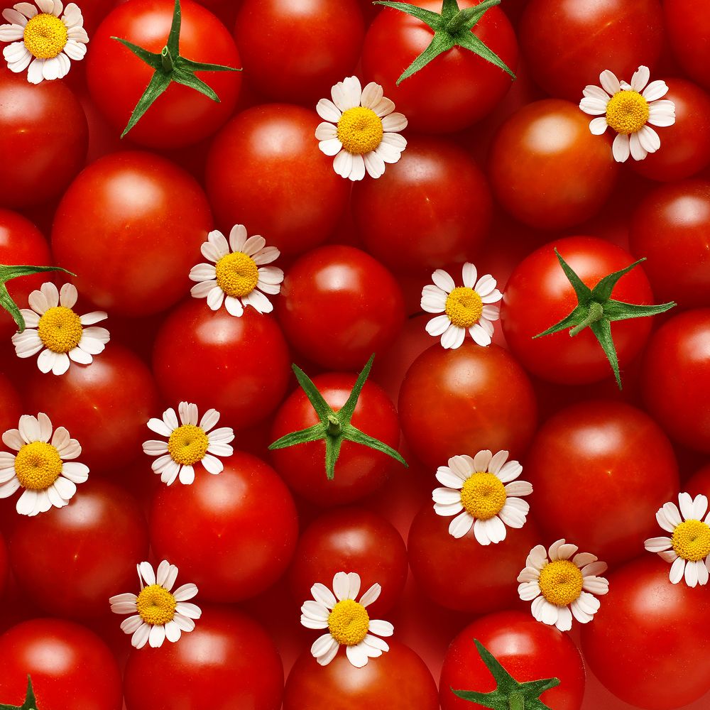 Photograph by Неро Миллена