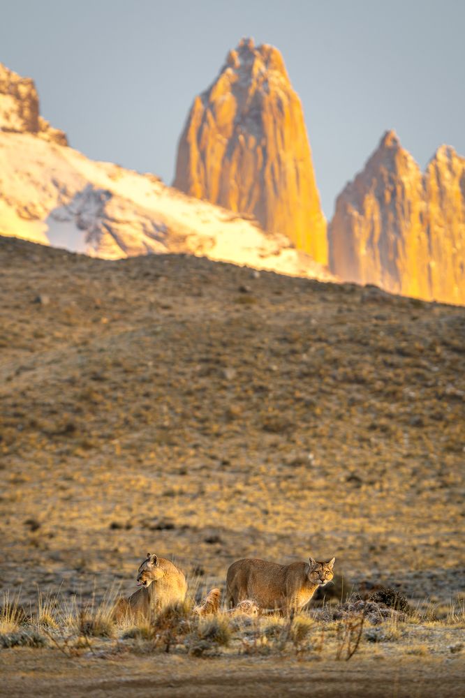 Photograph by Eduardo Hernández