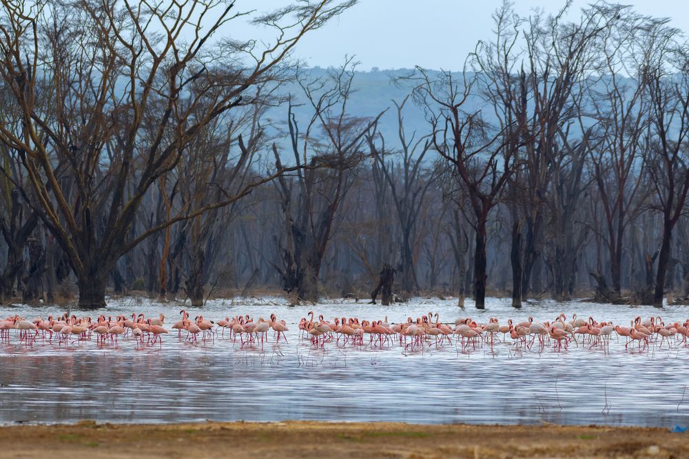 Фотография автора sherif Abdallah