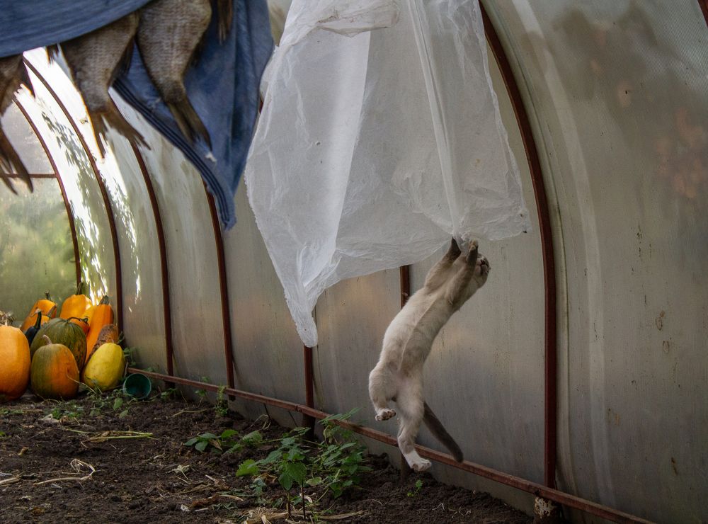 Photograph by Оксана Леонтьева