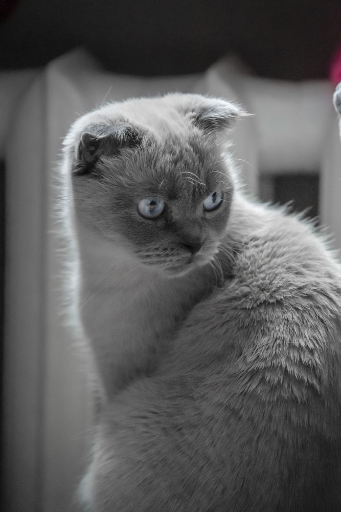 Фотография автора Наталия Шарова