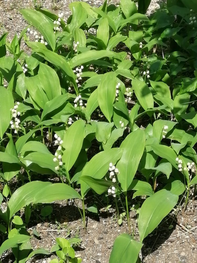 Photograph by Мила Мит