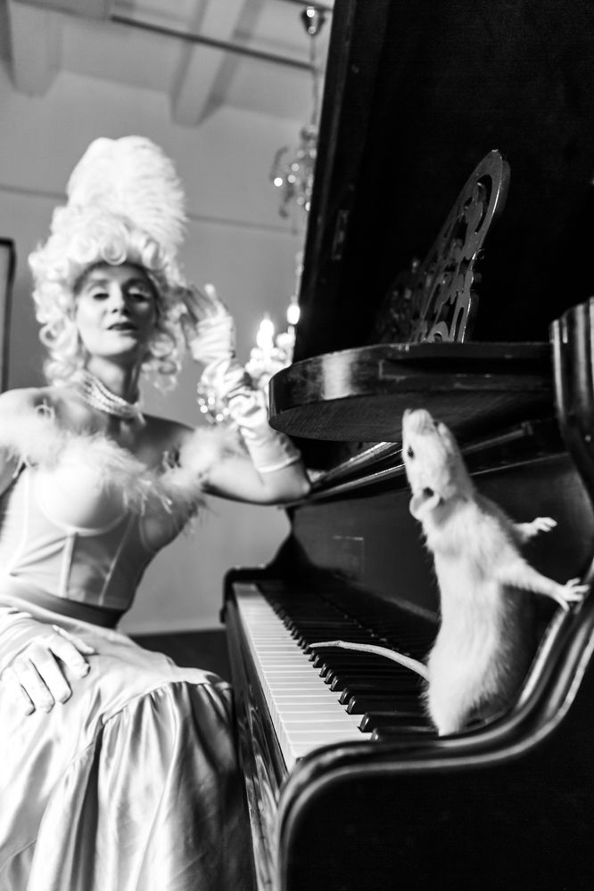 Photograph by Полина Драгон