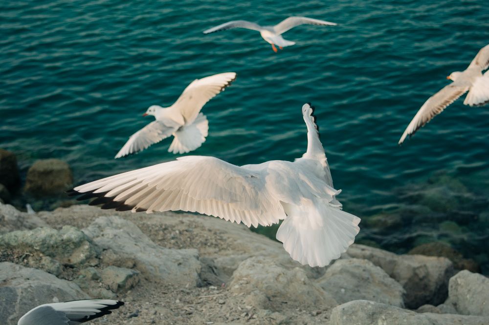 Photograph by  Omar Zaki