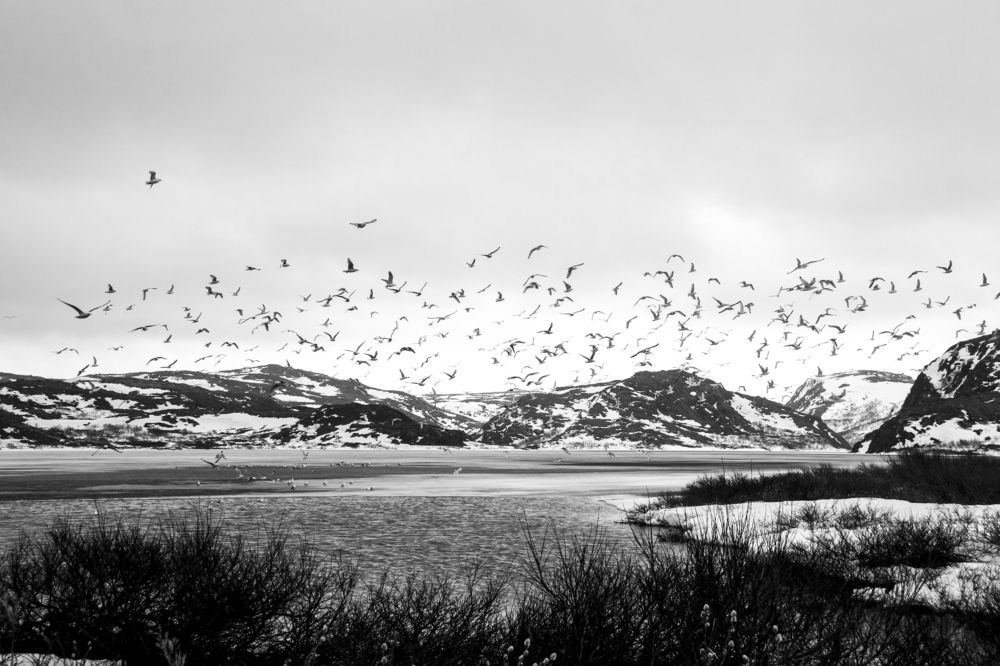 Photograph by Alena Poklonskaia