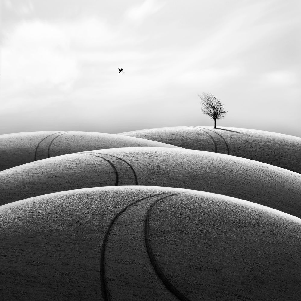 Photograph by Hadi Malijani