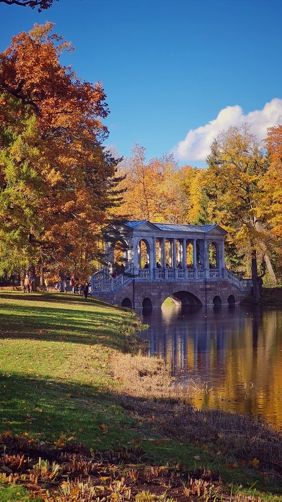 Photograph by Юлия Балуева