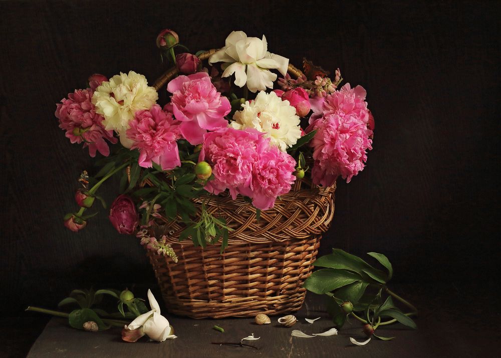 Фотография автора ТАТЬЯНА ЗАХАРОВА