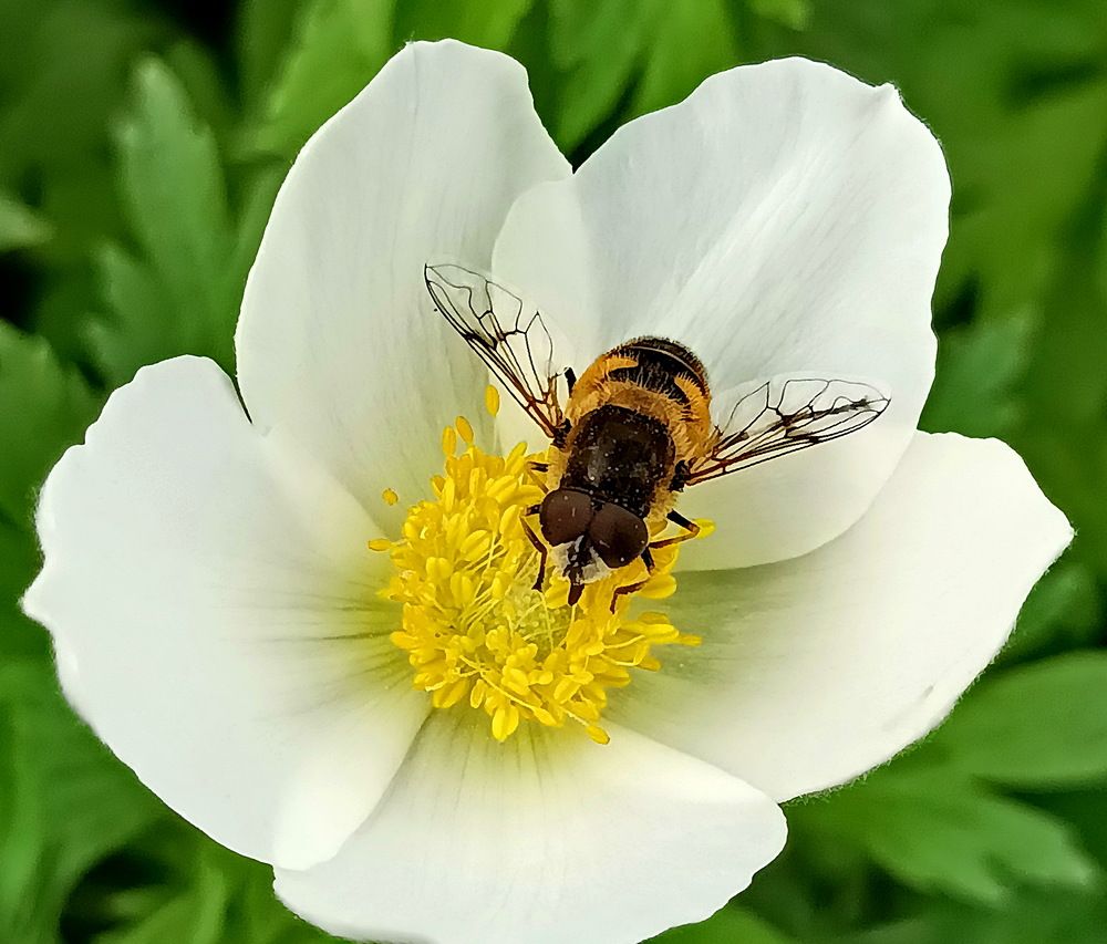 Photograph by Сергей Петров