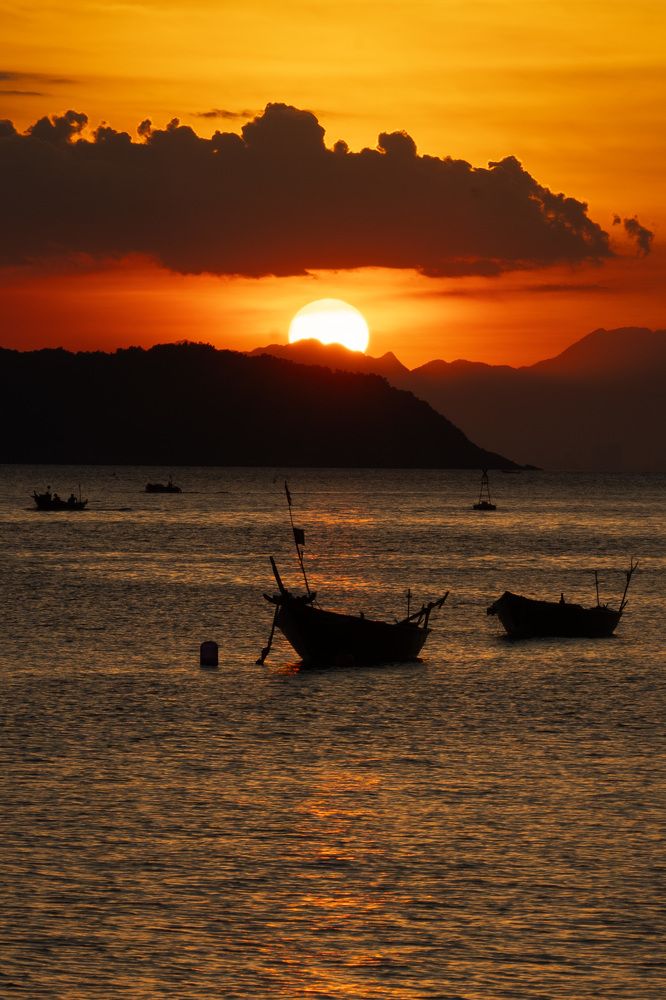 Фотография автора Светлана Зимина