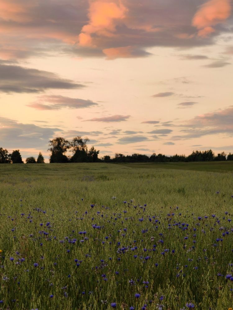 Photograph by Полина Мальцева